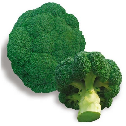 Broccoli Vegetable Seeds