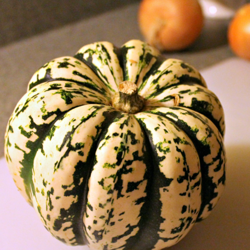 Carnival Squash Seeds