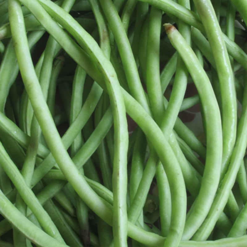 Cowpea Seeds