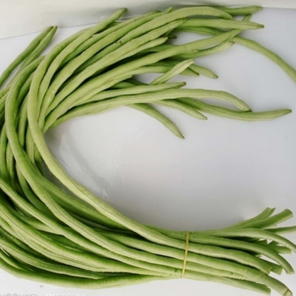 Green Loosened Bean Seeds