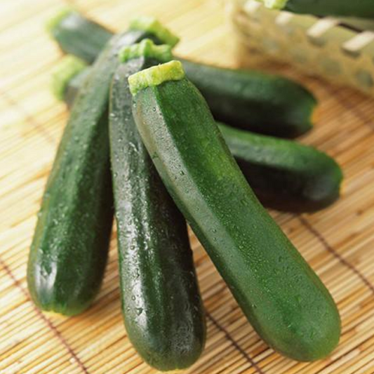 Green Shade Squash Seeds