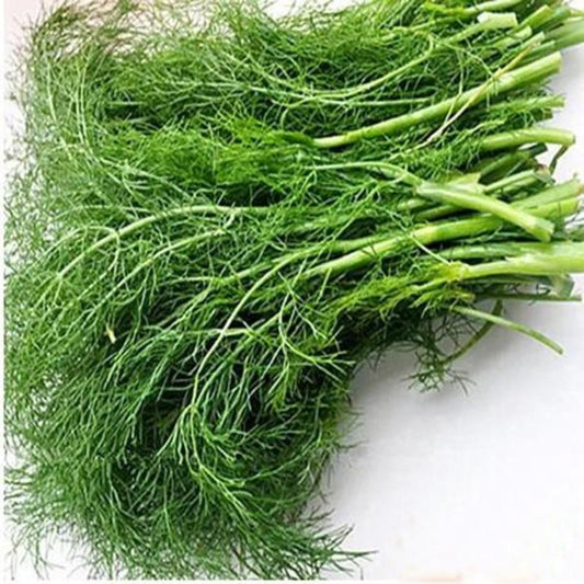 Virgo Crop Fennel Conditioning Spice Seeds