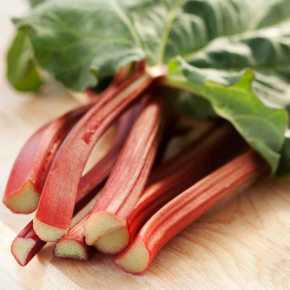 Rhubarb Victoria Seeds