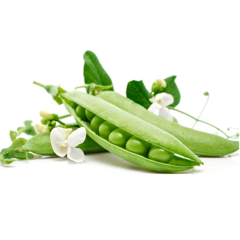 Sweet Green Pea Seeds