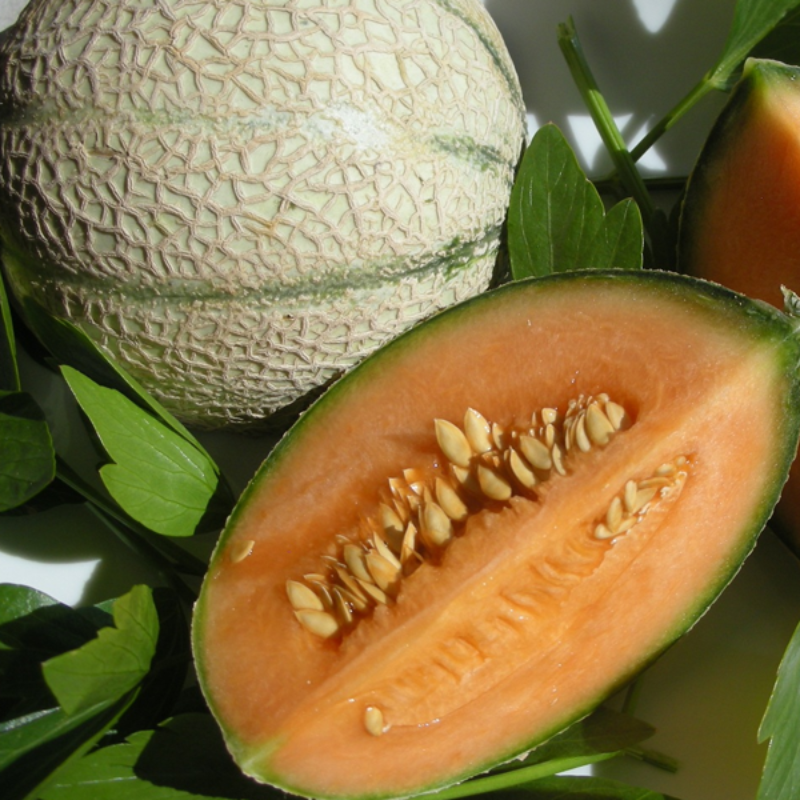 Melon Seeds