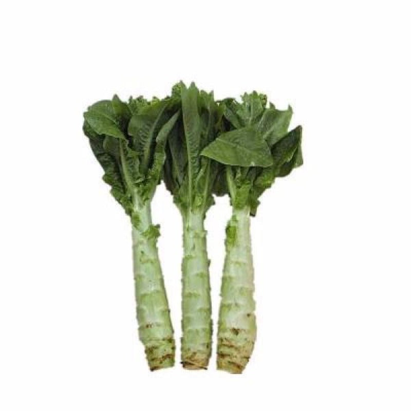 Italian Asparagus Lettuce Vegetable Seeds