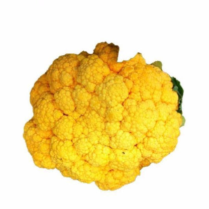 Hot Golden Cauliflower Seeds