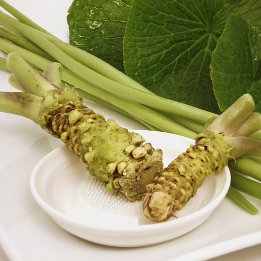 Wasabi Japanese Horseradish Seeds