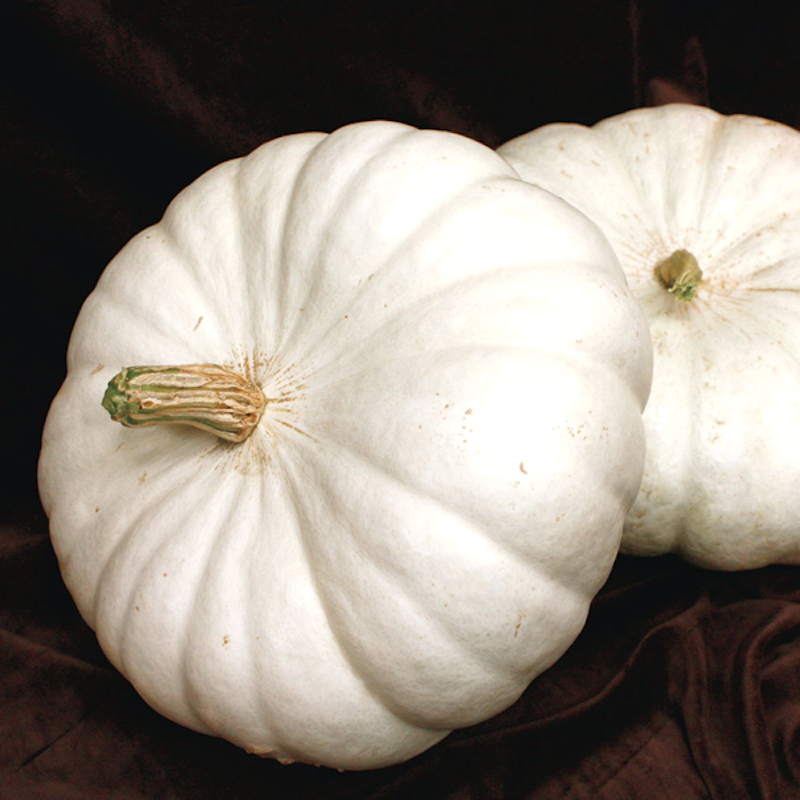 Baby Pumpkin Seeds